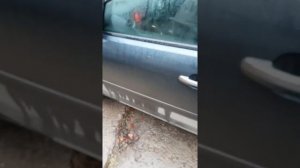 Как отключить сигнализацию если пульт не работает.