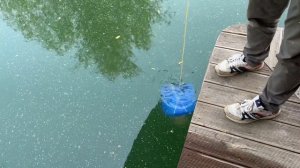 Как сделать кормушку для карпа своими руками