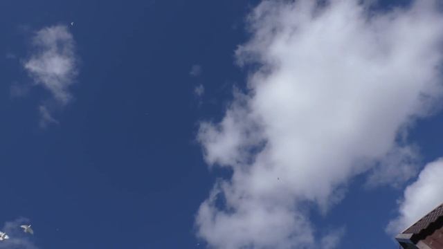 В гостях у Рафика. Специфика гона молодежи смотреть онлайн