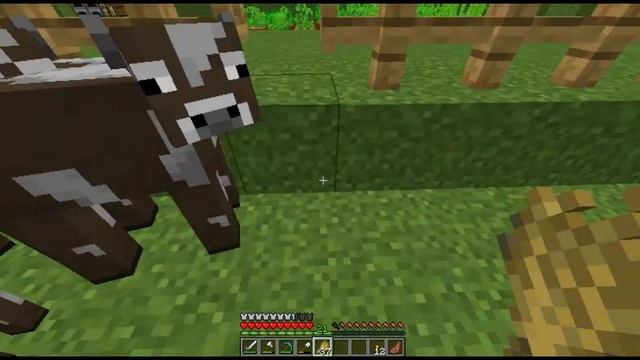 ? - eu juntei 100 VACAS no meu mundo de MINECRAFT survival! смотреть онлайн