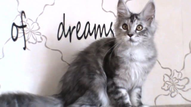 Габриель 4 мес смотреть онлайн