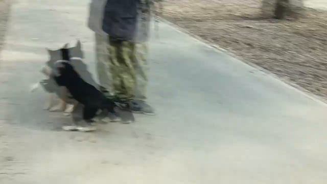 НУ - КА ОТНИМИ смотреть онлайн