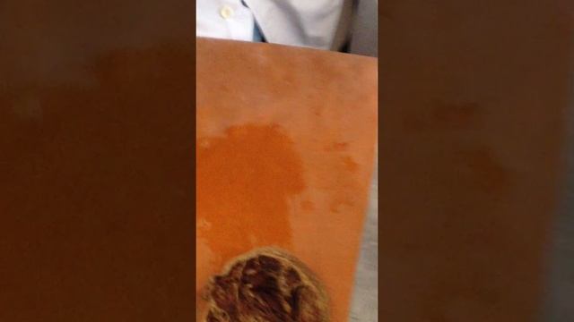 Топография бедра (распилы) смотреть онлайн