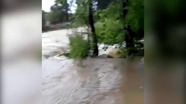 VL ru Затопило Хороль смотреть онлайн