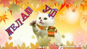 Открой глазки, пора вставать!