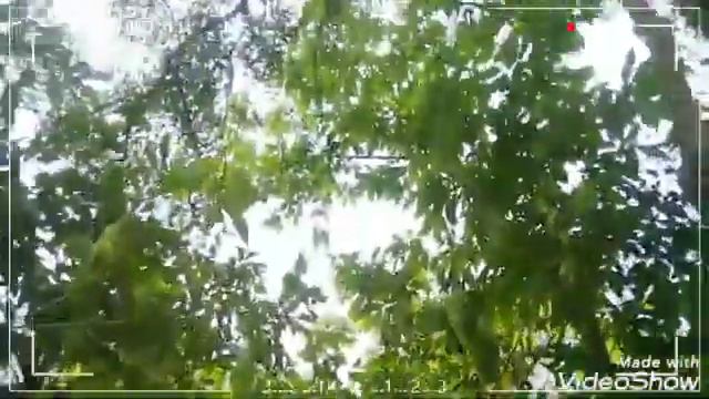 #santli bonga buru#vlog video# смотреть онлайн