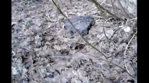 Весна. Ледоход на речке. Родительский день.