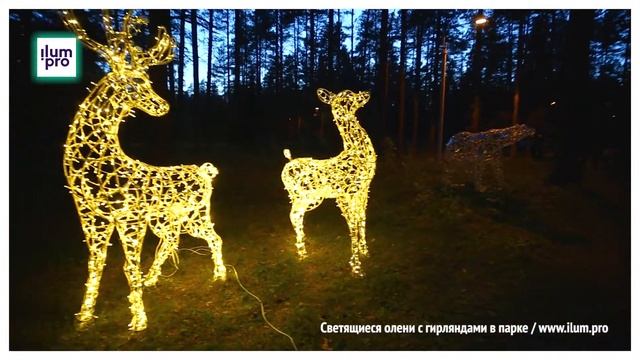Пара светодиодных оленей с гирляндами «Дуэт» / Айлюм Про смотреть онлайн