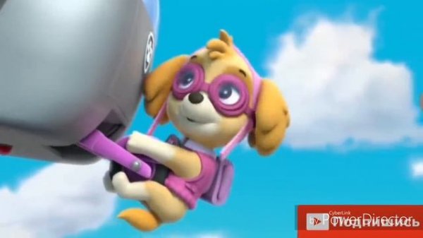 ?Гонщик и Скай?~(•Я люблю тебя•)/♡Chase x Skye♡~(•I ♡ u•)