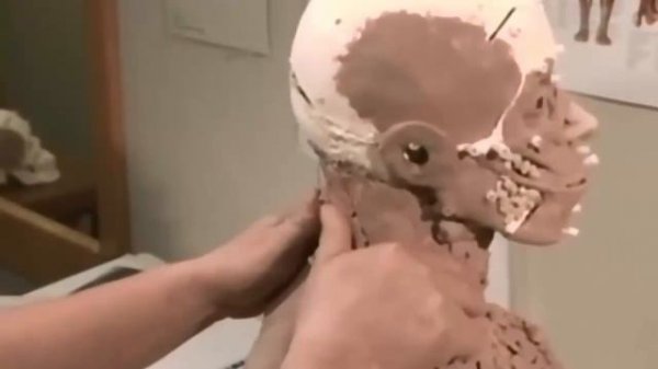 how it's made forensic facial reconstruction