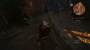 The Witcher 3 Get to Roche and Dijkstra at Passiflora