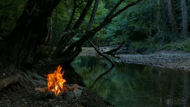 Размножение винограда черенками осенью в домашних условиях смотреть онлайн