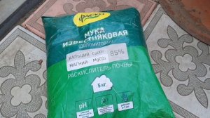 ПОДКОРМКА КЛЕМАТИСОВ ИЗВЕСТКОВЫМ МОЛОЧКОМ. ОБЯЗАТЕЛЬНО СДЕЛАЙТЕ ЭТО В ПЕРВОЙ ПОЛОВИНЕ МАЯ.