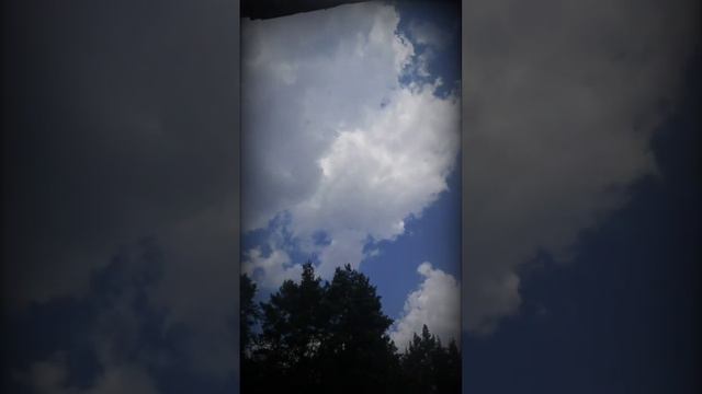 Странная игра.. Рената Рейнберг. Стихи в исполнении автора. смотреть онлайн