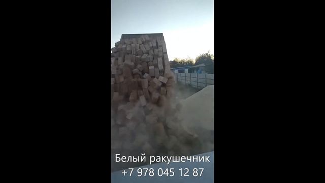 Выгрузка белого камня ракушечника смотреть онлайн