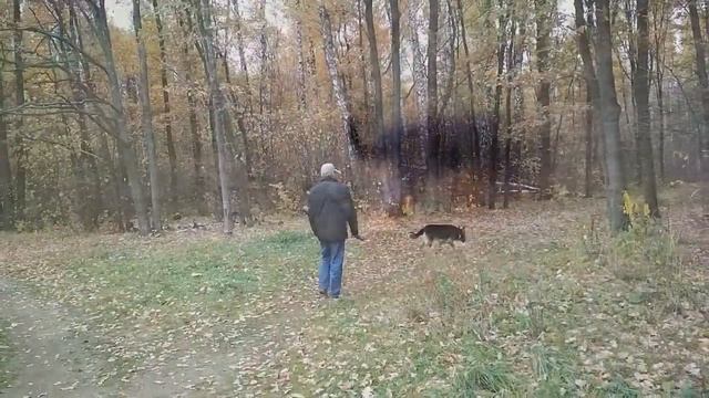 VLOG: ПОЧЕМУ Я НЕ ЛЮБЛЮ ОСЕНЬ? смотреть онлайн