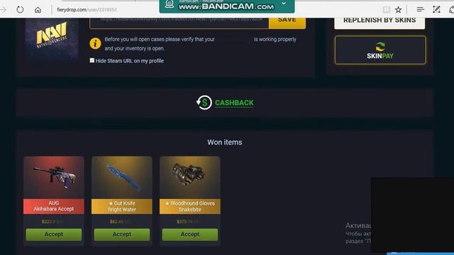 fierydrop.comОтзыв, Проверка сайта - ЛОХОТРОН!!! CS GO Отзывы смотреть онлайн
