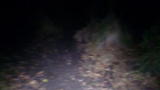 В журавіны с фонариком Armytek смотреть онлайн