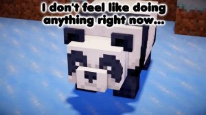 Panda vs. Polar Bear - Minecraft