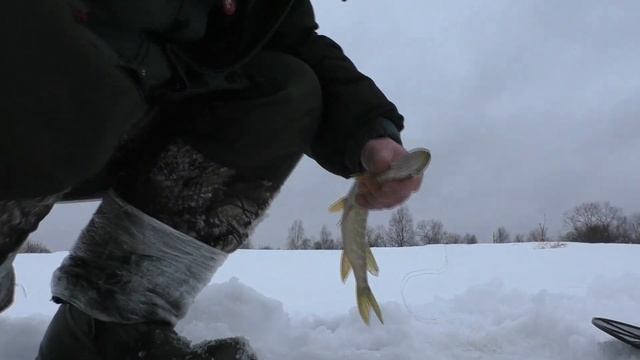 Рыбалка на Воче. Непогода, слабый клёв, бардак на реке. смотреть онлайн