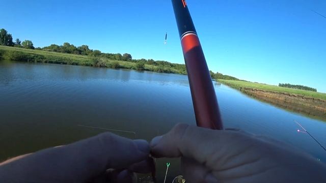 Искали Рыбу и Нашли. Карась на Удочку в начале Лета смотреть онлайн