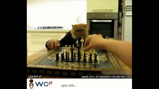 k смотреть онлайн