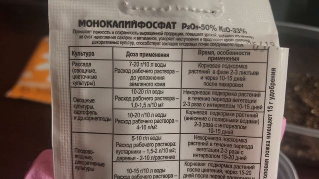 Гербера из семян! Гербере 10 дней! Первая подкормка! смотреть онлайн