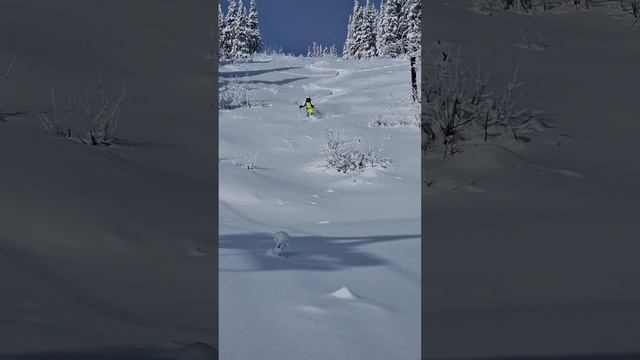 Смогу ли съехать до поселка Шерегеш 4 ноября 2023? смотреть онлайн