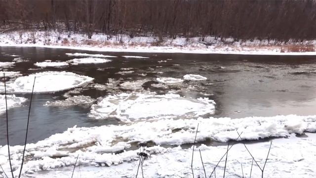 Сказочная прогулка с любимой собакой вдоль зимней реки/A fabulous walk with your beloved dog смотреть онлайн