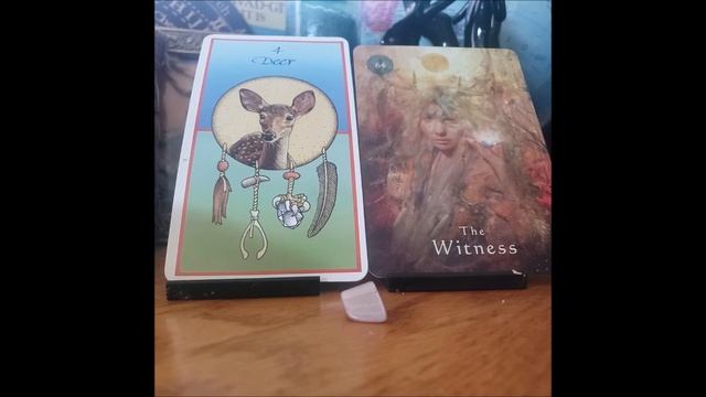 Taurus Weekly Astro Oracle- Witnessing Change смотреть онлайн