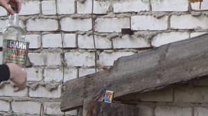 Обзор крутой винтовки Crosman Benjamin Trail NP XL 1500 BT1500WNP