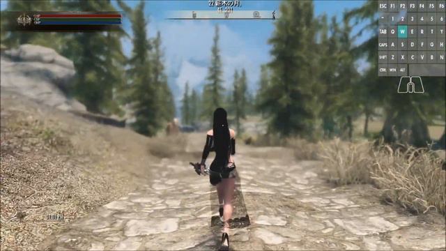 PC SKYRIM T_KUKU's animation : female 360walk and 360run MOD смотреть онлайн