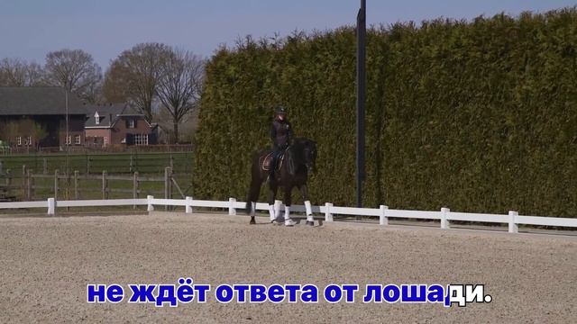 Имейте в виду, что подпруга смотреть онлайн