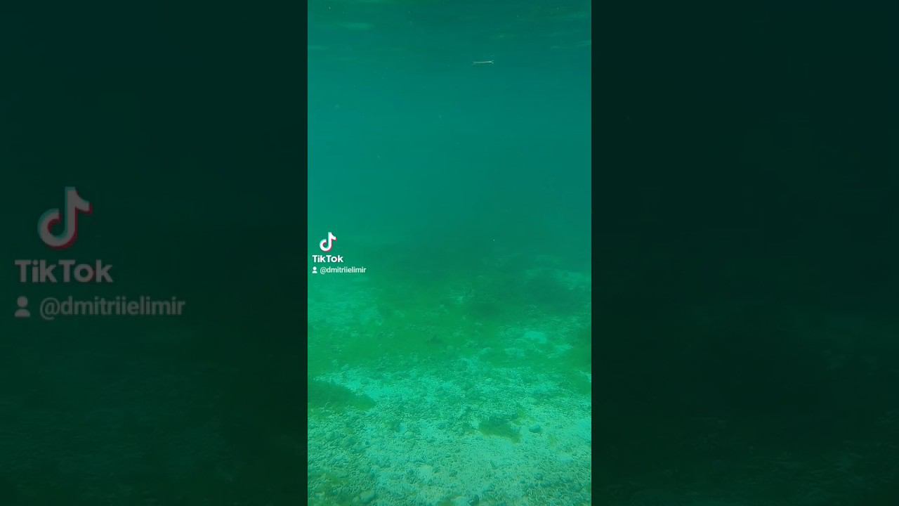 what under water ️ #diving #ocean #beacheslife #boracay #pilipinas #philippines #beach #sea смотреть онлайн