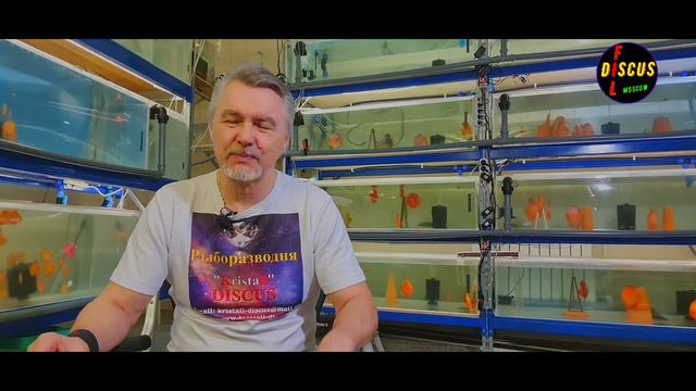 ДИСКУСЫ, ПОМОЩЬ ПРИШЛА ВОВРЕМЯ! DISCUS, HELP HAS ARRIVED ON TIME! смотреть онлайн
