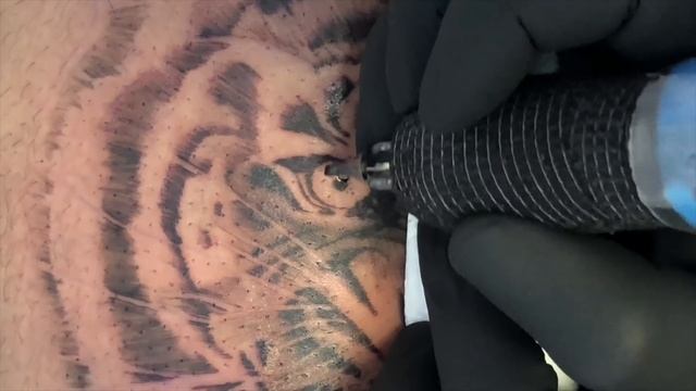 TATTOO TIMELAPSE | TIGER PORTRAIT | CHRISSY LEE смотреть онлайн