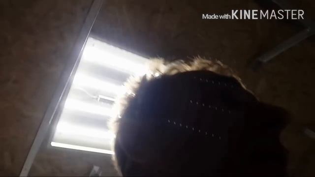 Постройка малярки в гараже. Монтаж приточного короба. смотреть онлайн