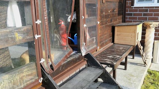 Моржевание Гусей и Жучки смотреть онлайн