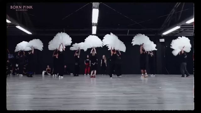 BLACKPINK COACHELLA PRIVATE DANCE PRACTICE