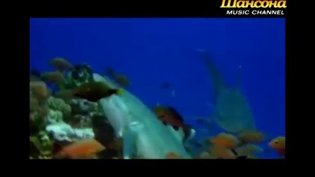 Сергей Наговицын - Прохор Митрич (видео) смотреть онлайн