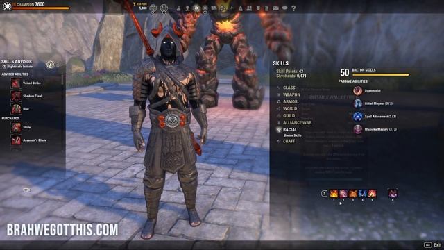ESO Beginner Magicka Nightblade DPS Build | Waking Flame Patch 2021 смотреть онлайн