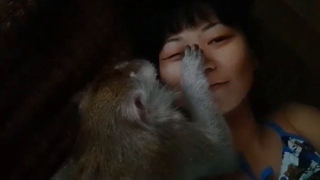 Кореянка @ обезьянка ) смотреть онлайн