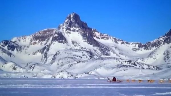 Мусор Musor 2012 P1 XviD DVDRip