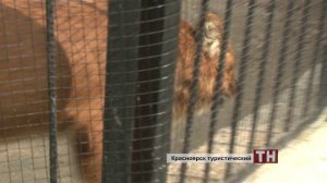 "Красноярск туристический" - лучшие места города