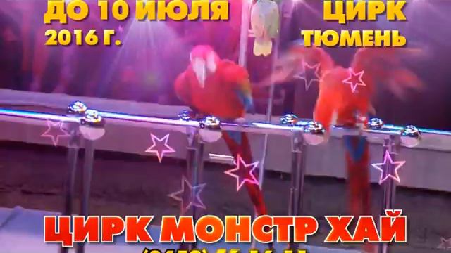Только до 10 июля программа «МОТО-ШОУ И МОНСТРЫ» смотреть онлайн