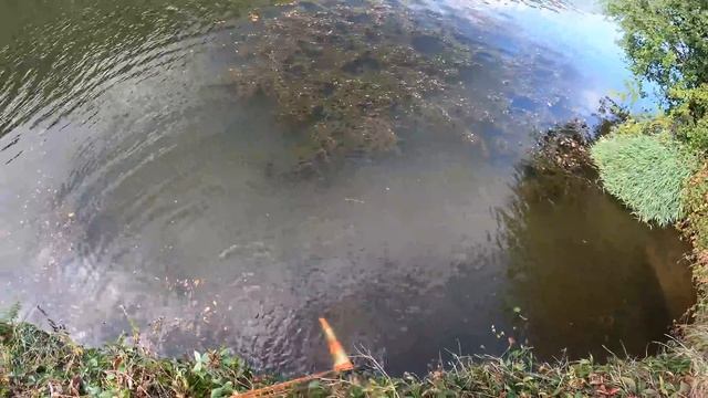 Notre Abonné Le Plus Chanceux En Pêche à L'aimant !