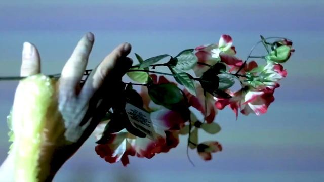 VV/LD TØR∇S, RØØT-"ƒile©_d.eVICE trees" смотреть онлайн