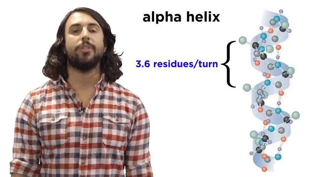 Protein Structure.mp4 смотреть онлайн