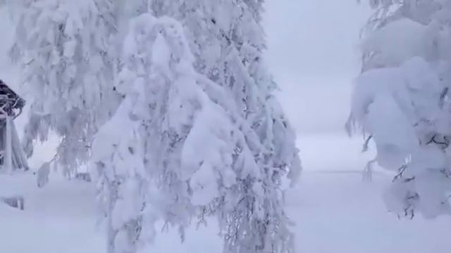 Звон колоколов Белой горы смотреть онлайн