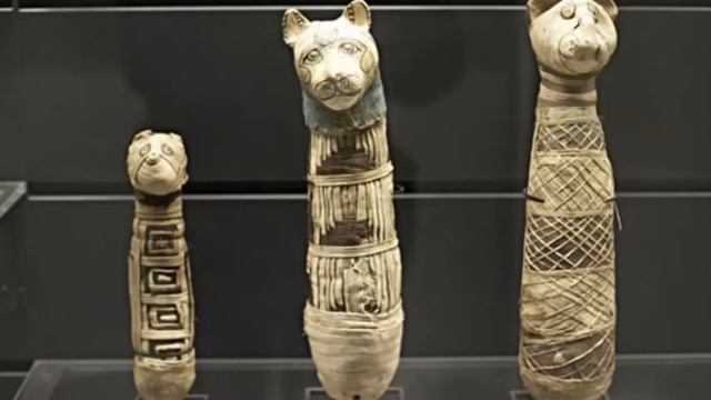 Ученые заглянули внутрь мумии древнеегипетской кошки смотреть онлайн